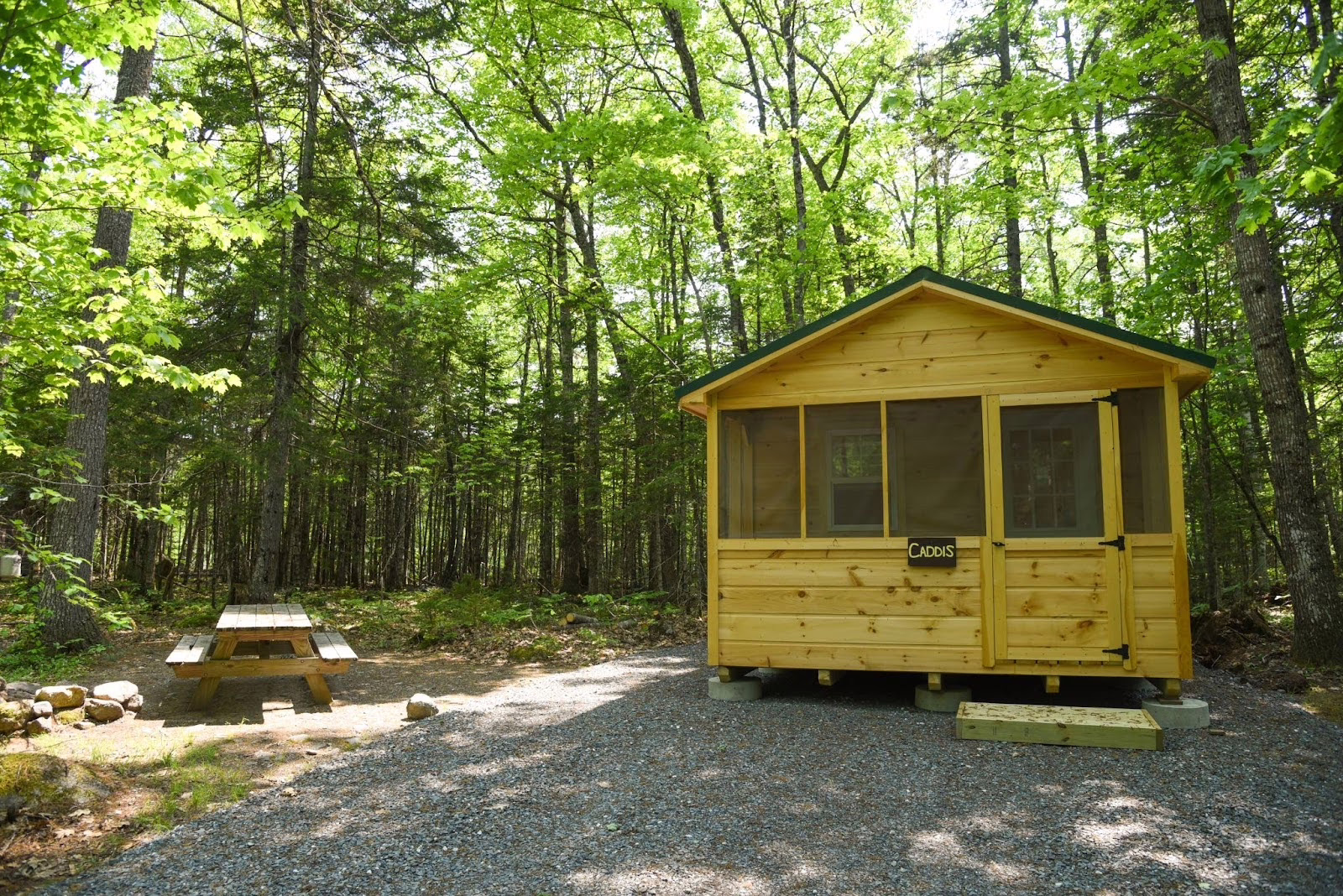Big Eddy Campground — photo 6
