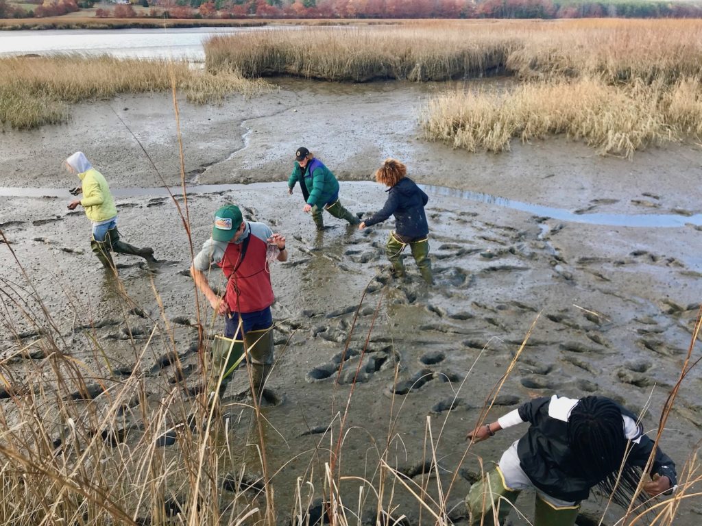 Students start to get stuck in the muddy salt marsh