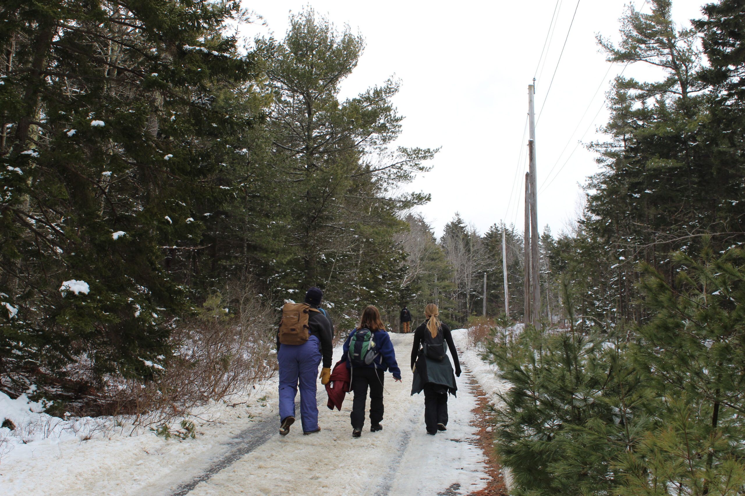 A Walk In The Woods Maine Coast Semester   53511278600 937666763f O Scaled 